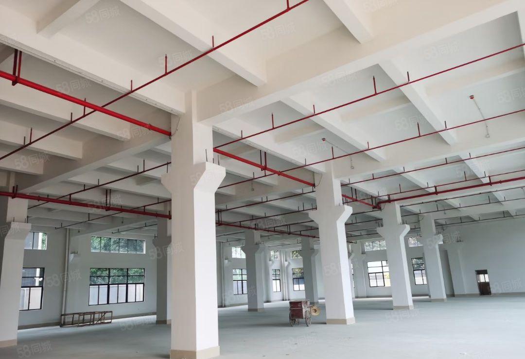 常平镇出原房东独院全新厂房玻璃外观形象漂亮，价格便宜出租