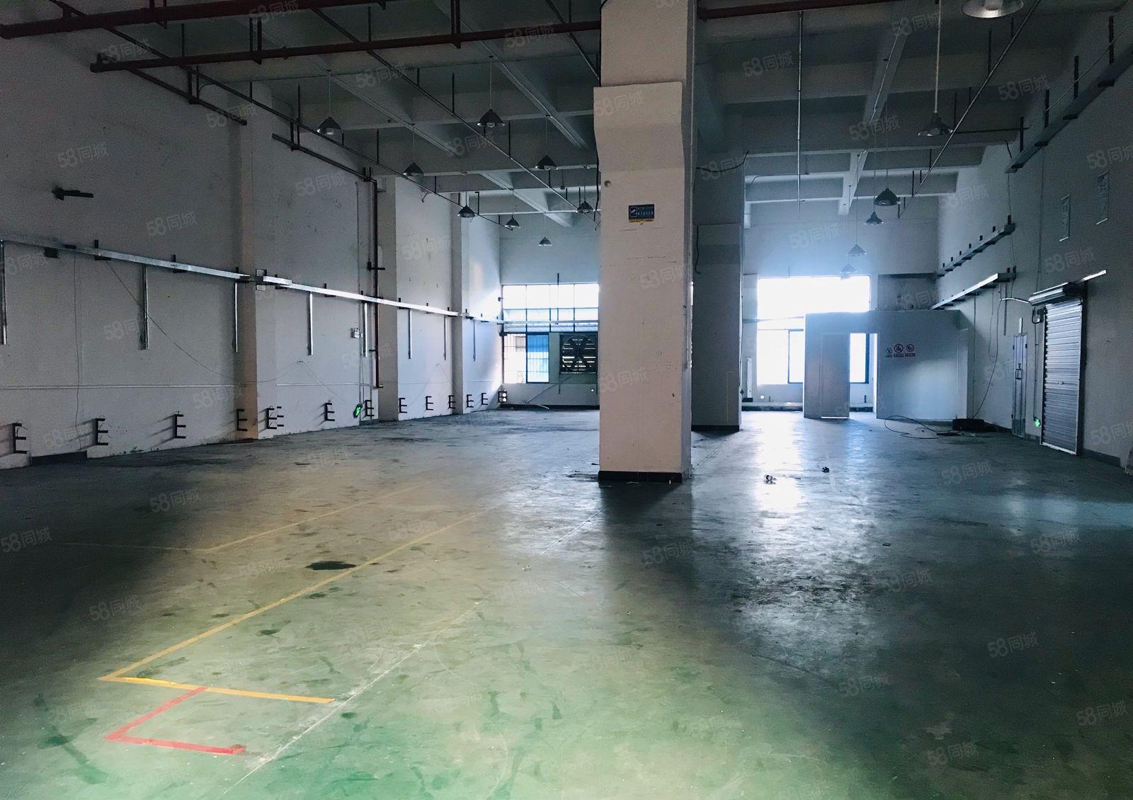 常平园区新出一楼800平带牛角工业用地厂房