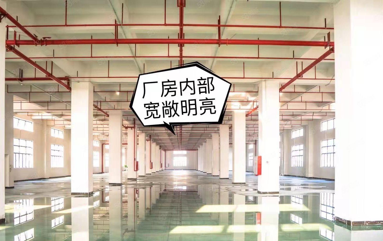 常平司马全新地坪漆带装修的厂房可做服装，电子，电商