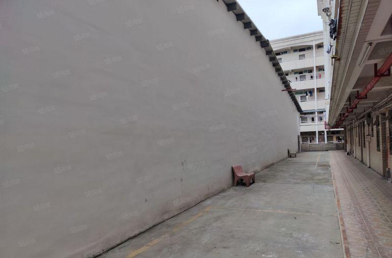 东莞常平6.6块钱厂房出租，有消防喷淋，两吨的电梯，超大空地