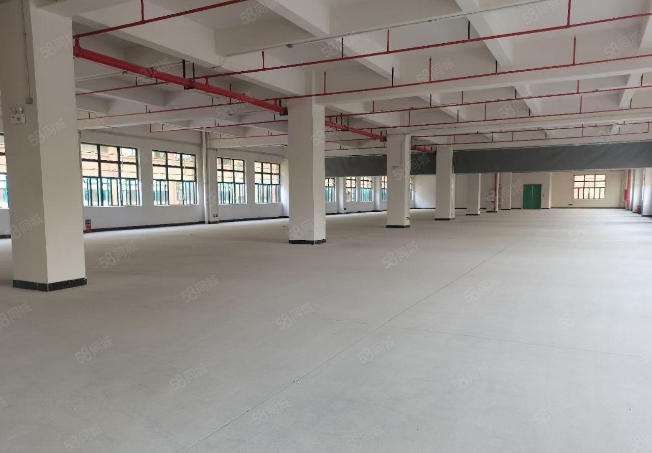 常平新出红本独院分租一栋五层10000平方，大小可分租