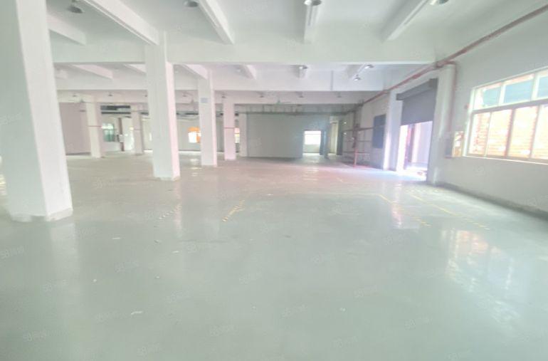 常平原房东一楼，实量面积出租，带地坪漆，光线好，价格便宜！