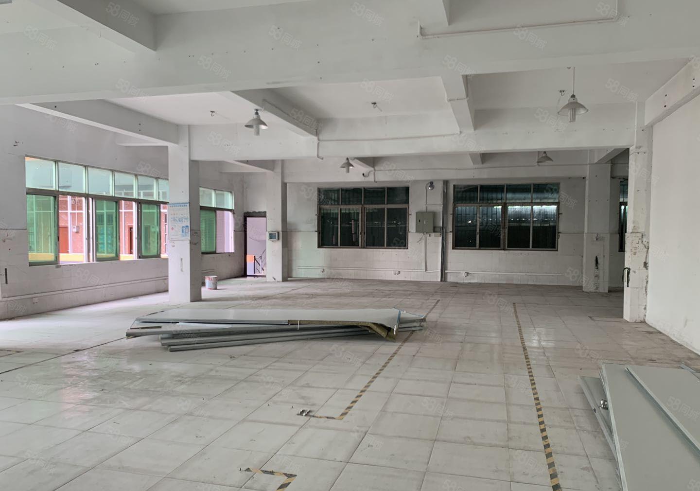 常平镇还珠沥独门独院厂房豪华办公楼水电到位形象非常漂亮