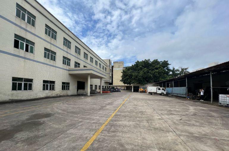 常平桥沥带牛角标准独院可分租空地大