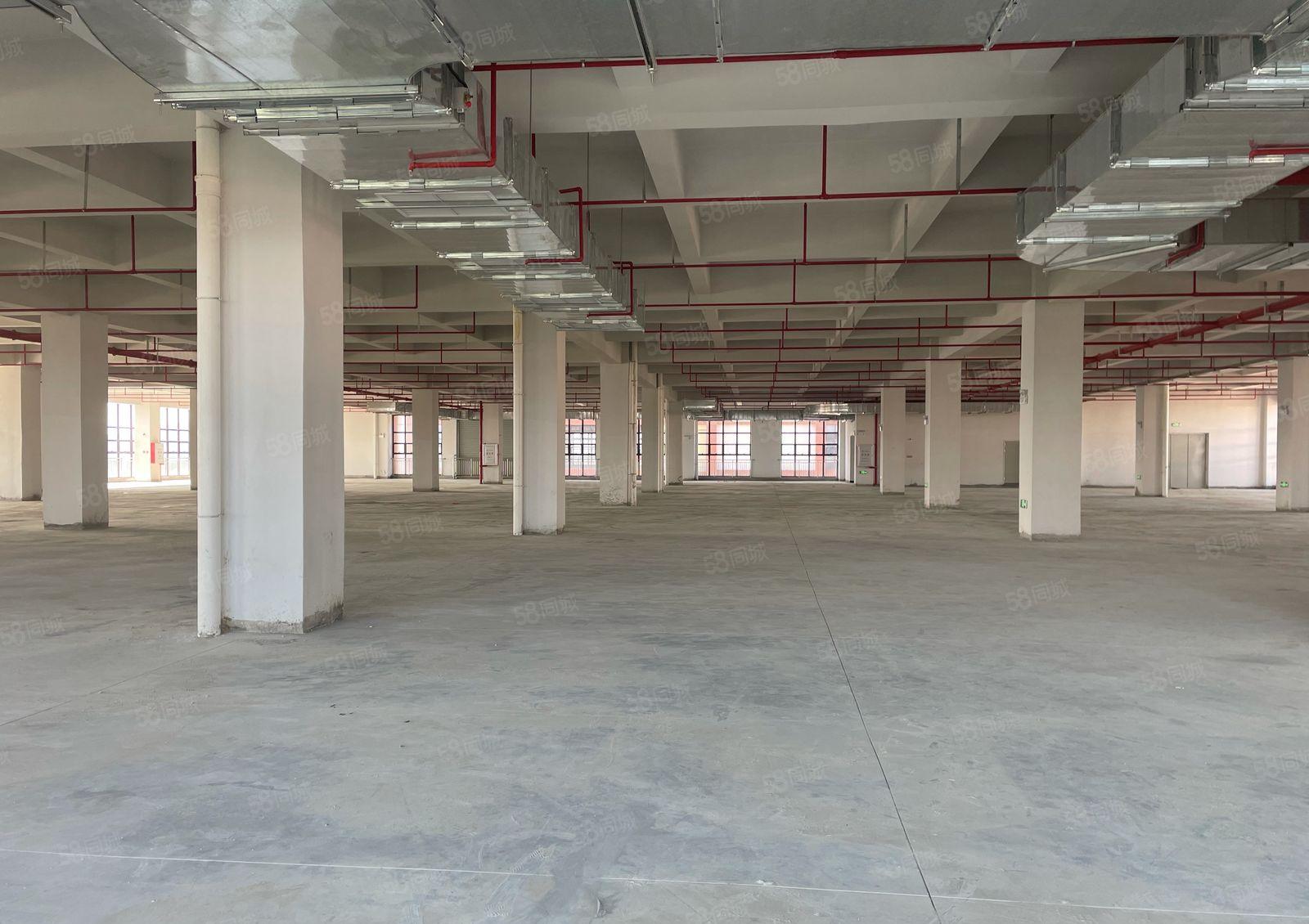 一个月起租临时仓库常平镇环城路新建园区5万平大小分