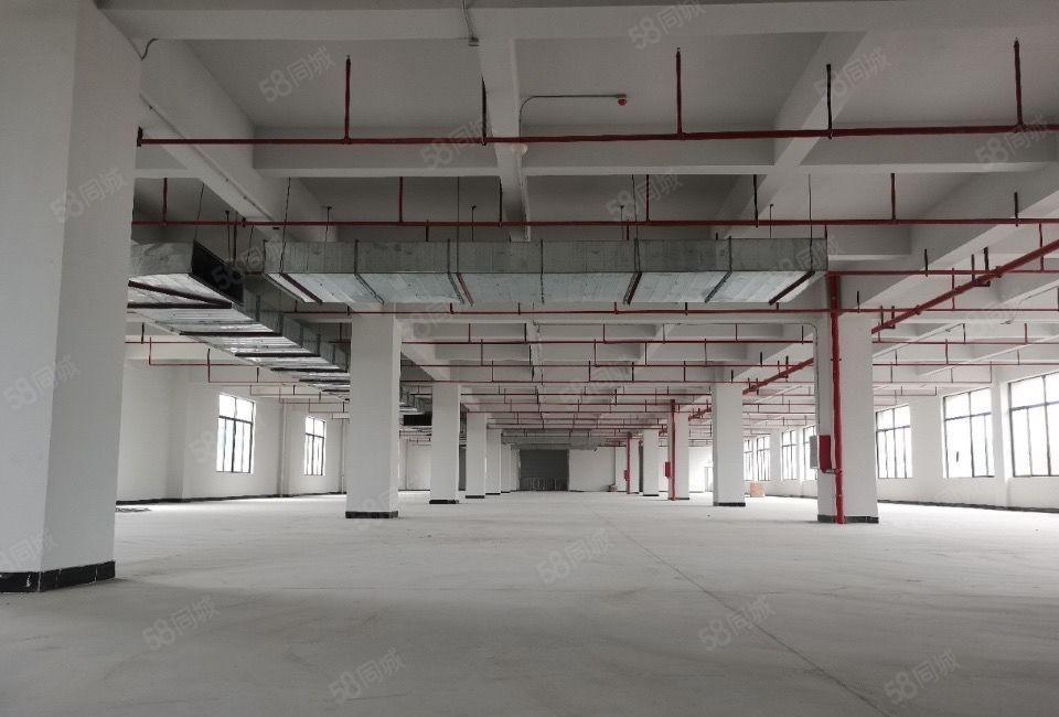 常平红本现成喷油，喷粉，注塑环评出租，大小可分