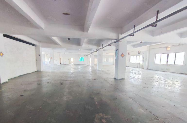 常平镇原房东新空出楼上一层1300平，带精装修办公室地坪漆