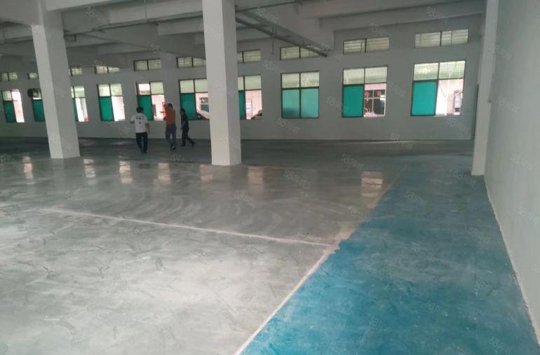 房东个人厂房一楼1200平方5.5米高租金18元厂房形象好