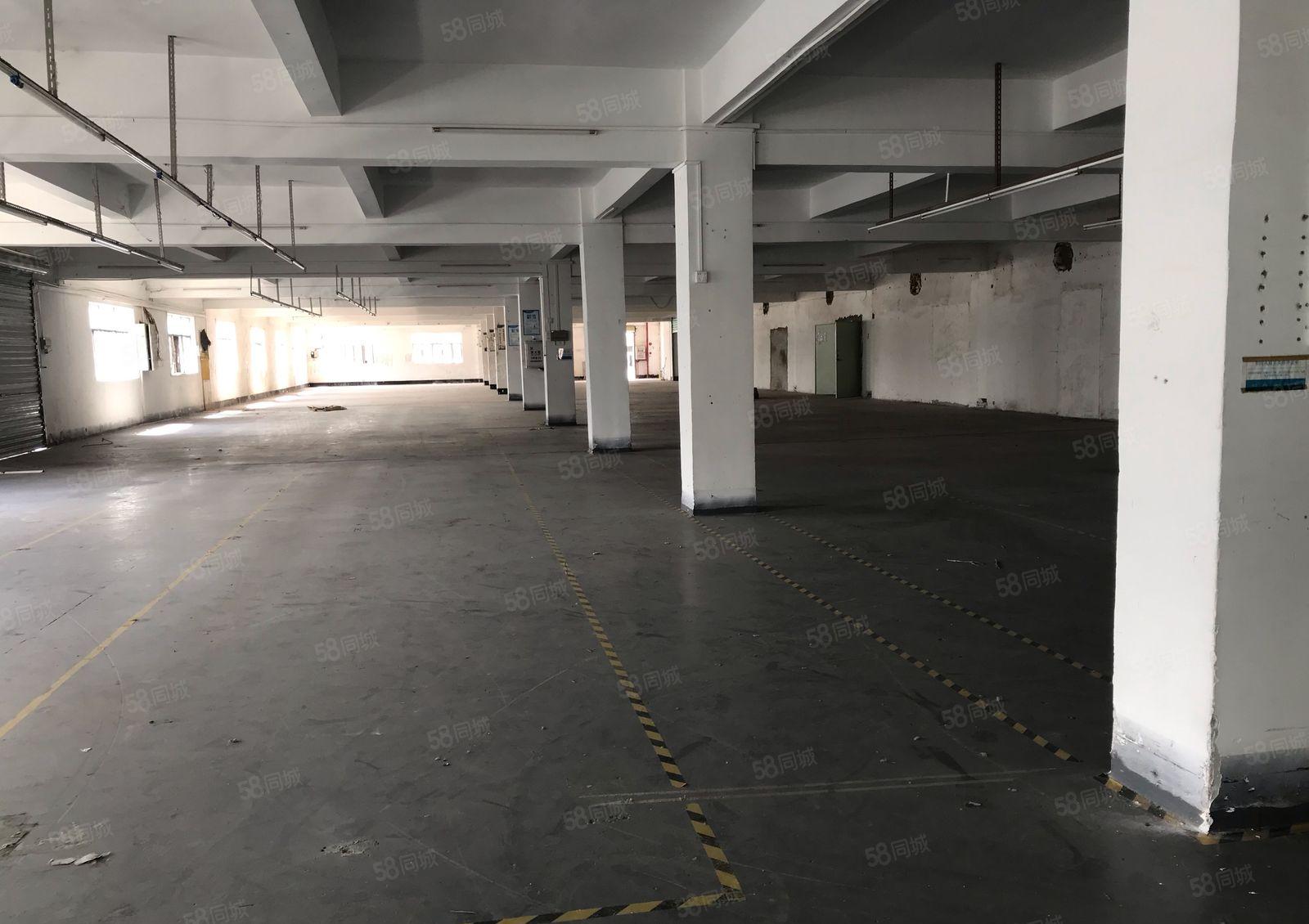 苏坑两层厂房7000来一楼高7米