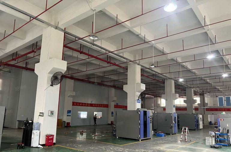 常平土塘原房东7米高一楼2000平方，带牛角，办公室装修