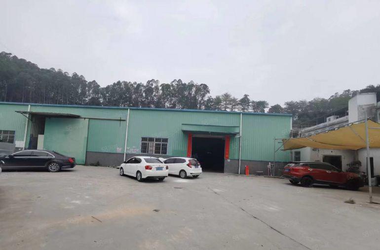 常平靠近常黄路边单一层钢构空地大低价厂房仓库出租1500平方