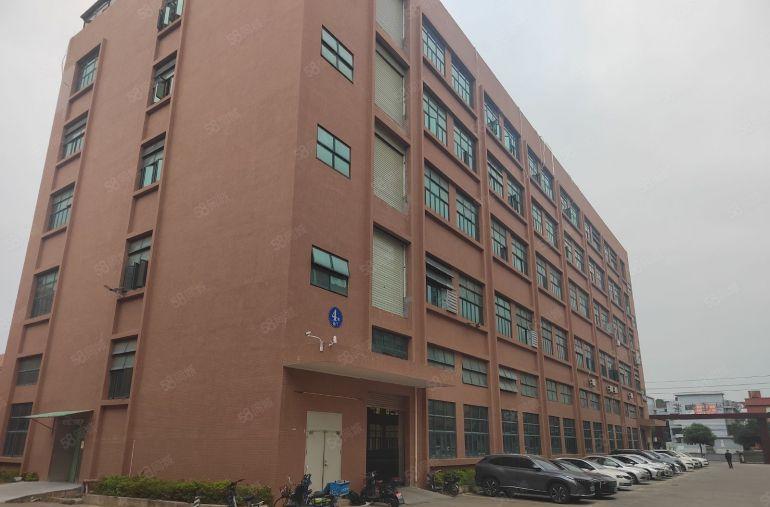 常平花园式独门独院原房东标准厂房一楼1760