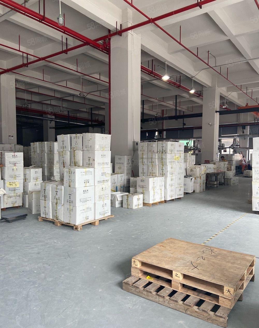 独院标准厂房一楼1300平方层高6米，水电线路办公室装修齐全