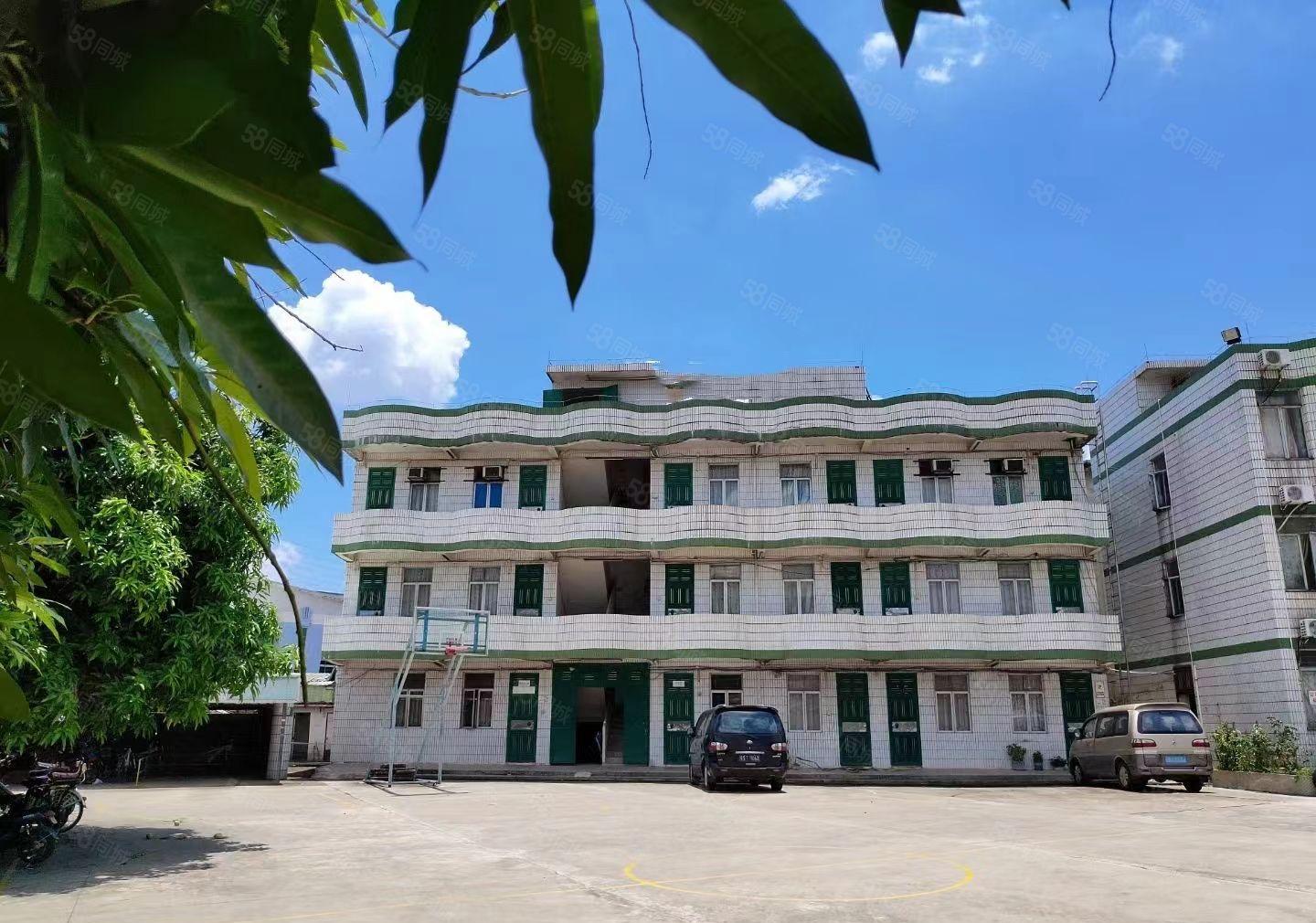 常平桥沥共3层独院厂房10000平方，宿舍1000平方。