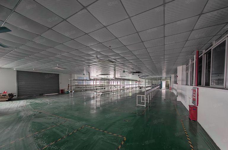 精装修3000米花园厂房无公摊