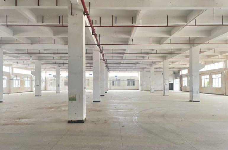 桥头镇标准独院总面积14500平，花园式原房东厂房出租