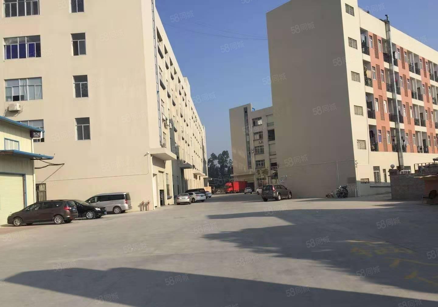 常平镇厂房出租，新空出三楼1100平形象好，价格实惠