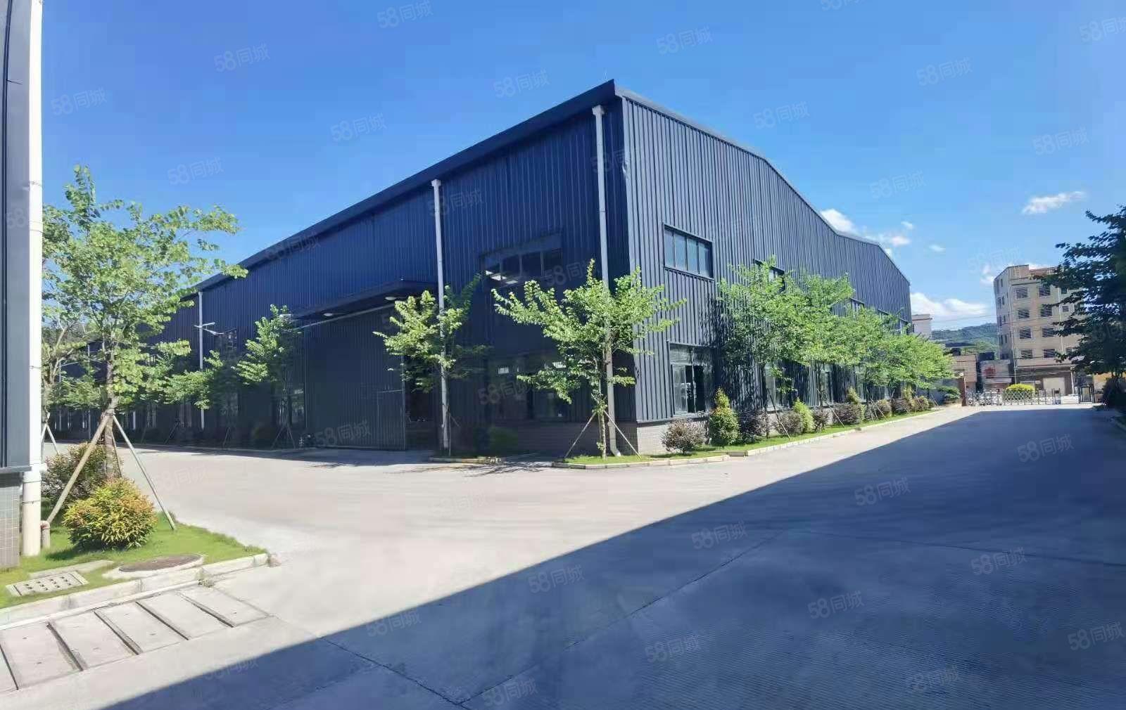 常平桥沥原房东钢结构独栋2800平滴水10米带五吨行车免费使