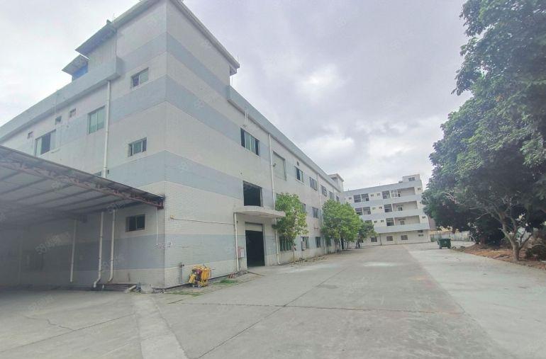 出租|常平10元标准独院无公摊空地超大花园式厂房格局方正