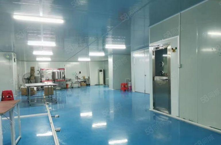 常平独院新空无尘车间厂房出租，950平带精装修现成主线到车间