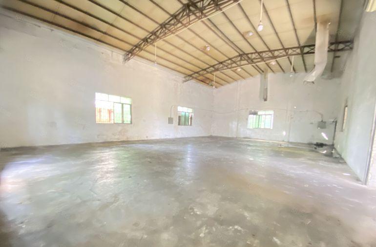 常平 原房东  独院  空地超大   适合喷油喷漆小污染行业