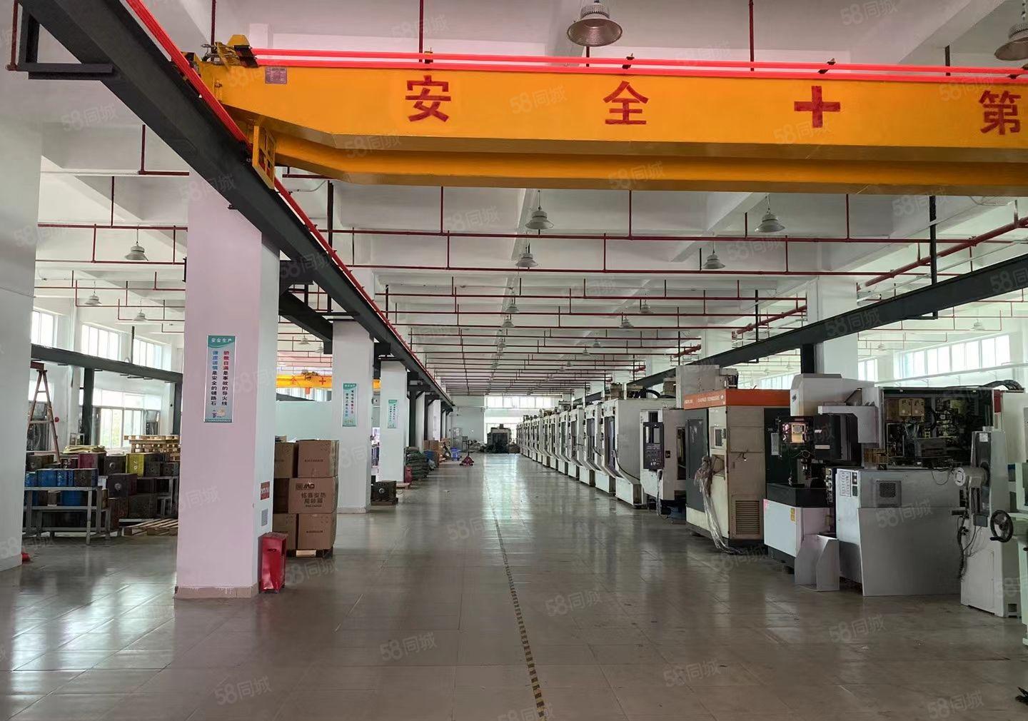 东莞市常平镇主干道旁工业区独立标准厂房16000平方出租