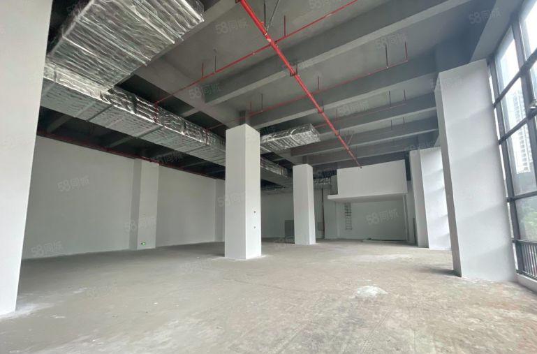 东莞雁田全新厂房招租 大小面积可分租 免租长适各行业看中可谈