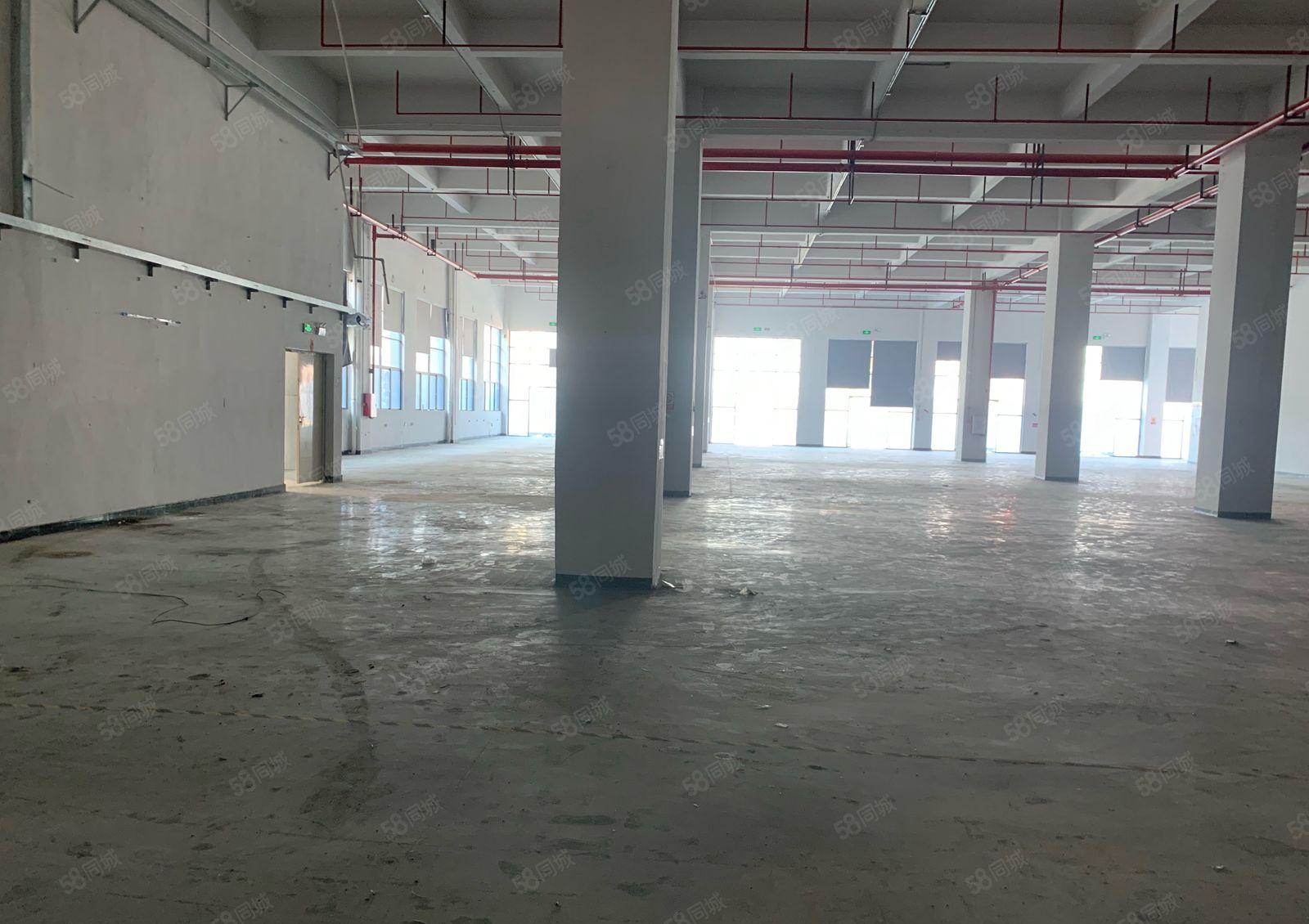 常平1500平标准厂房大小可分租