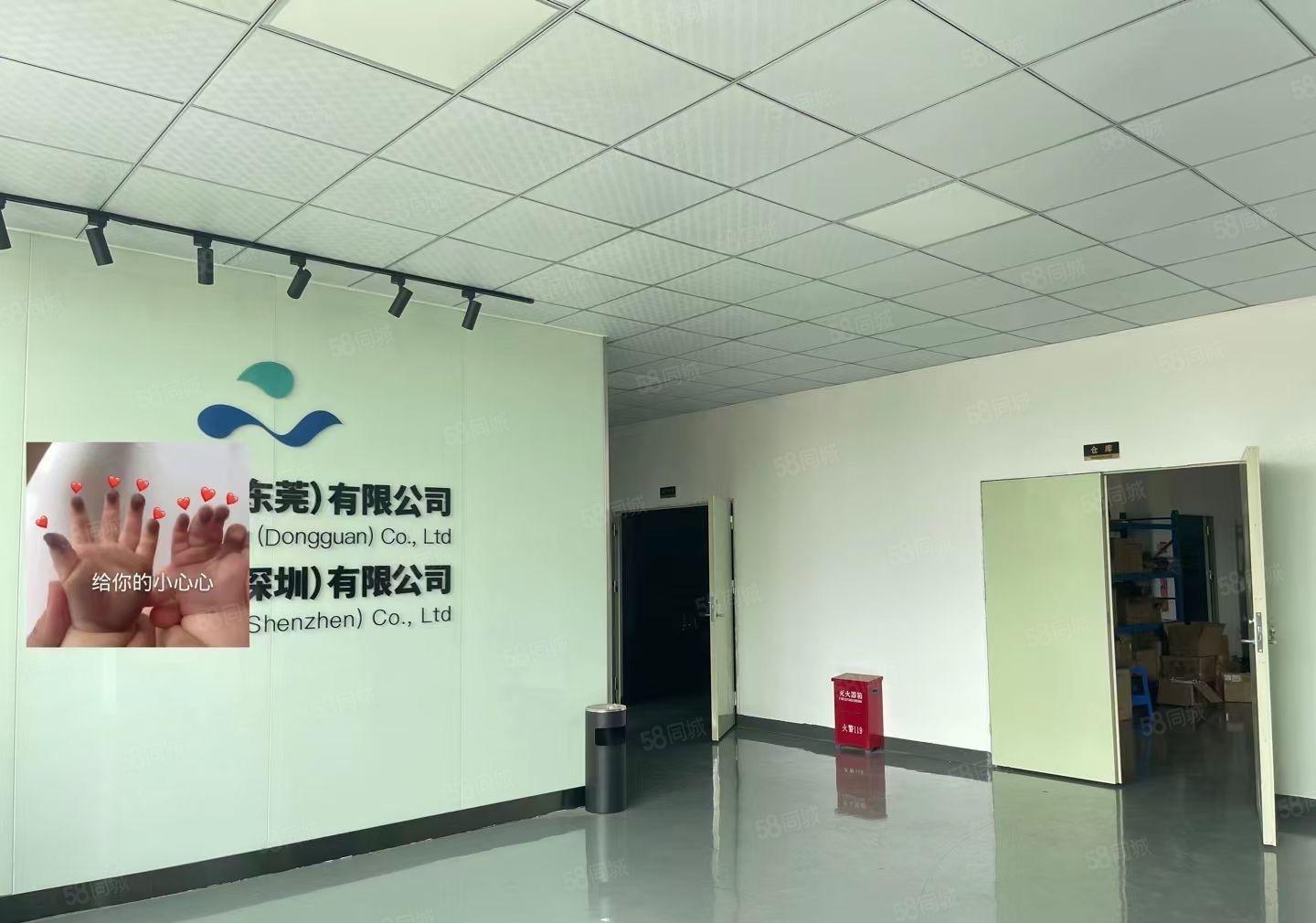 （精装修）环城路实际面积上坑珠宝园三楼4380平现成装修出租