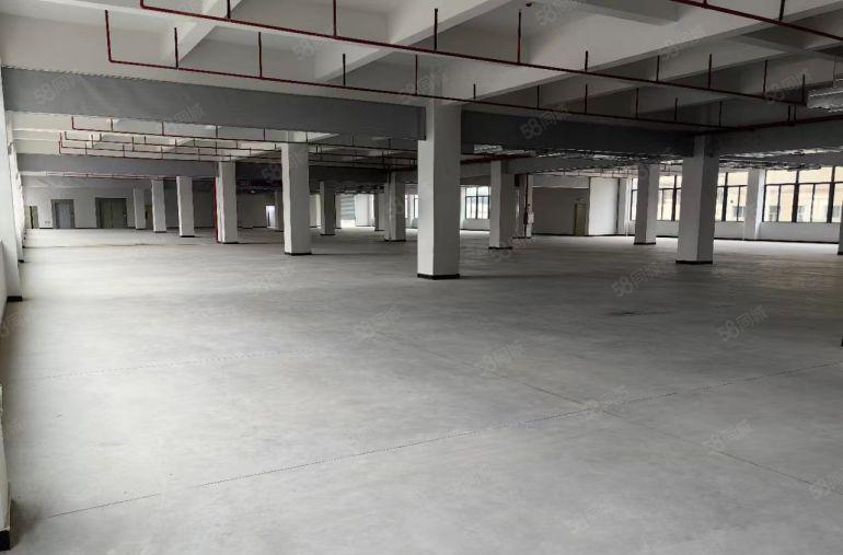 常平全新独院标准厂房出租8000平方米，带消防喷淋