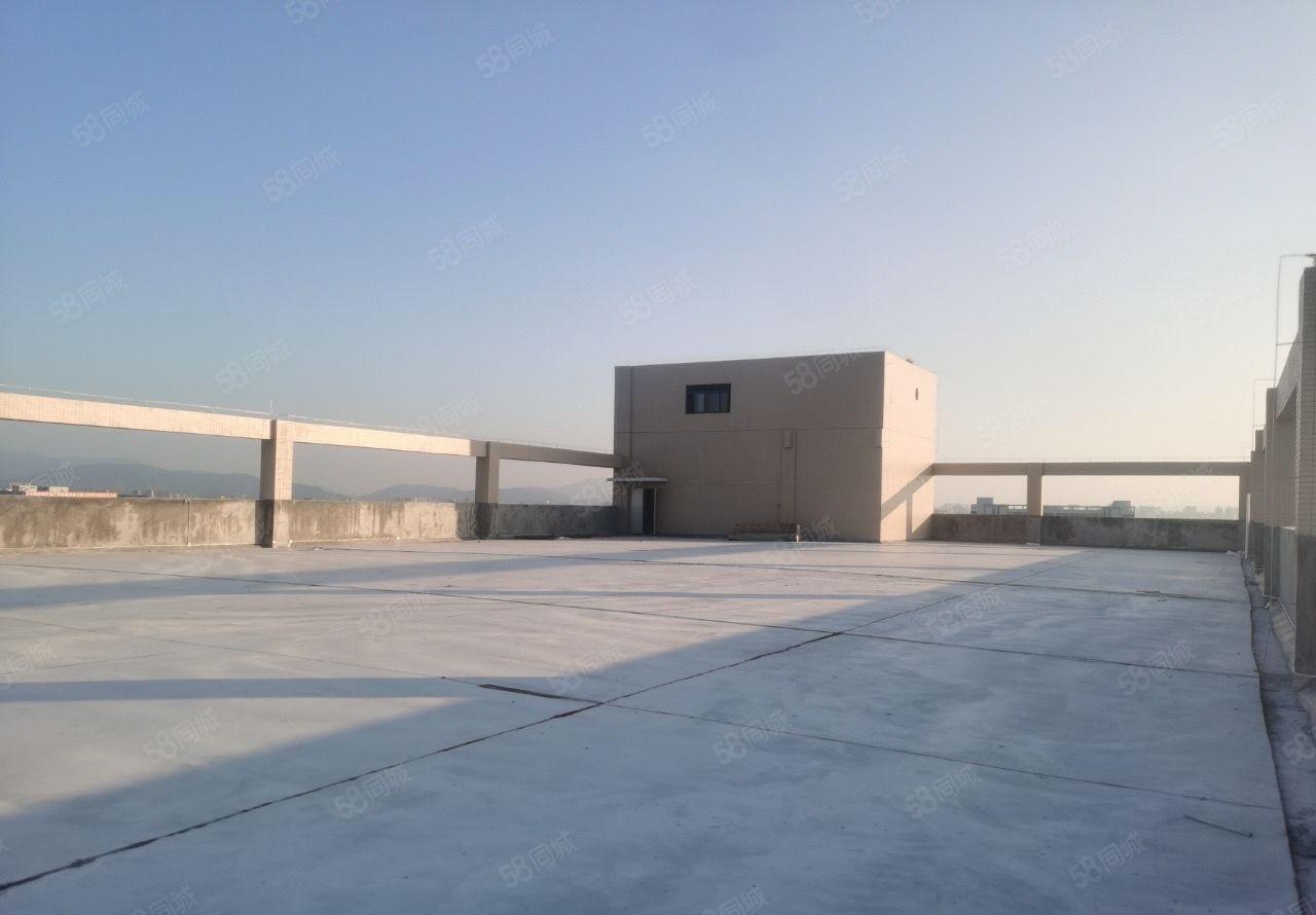常平司马全新地坪漆带装修的厂房可做服装，电子，电商