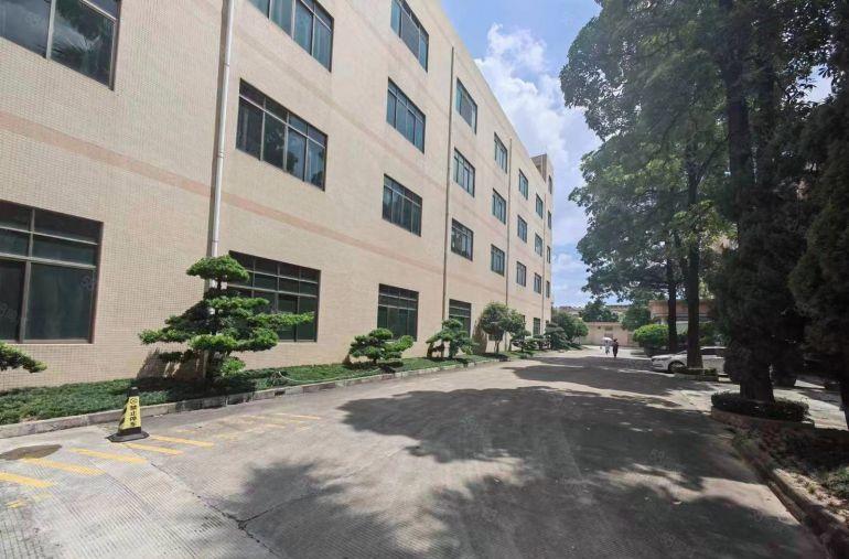 常平横江厦标准厂房出租，一楼600平，二楼800平，租10元