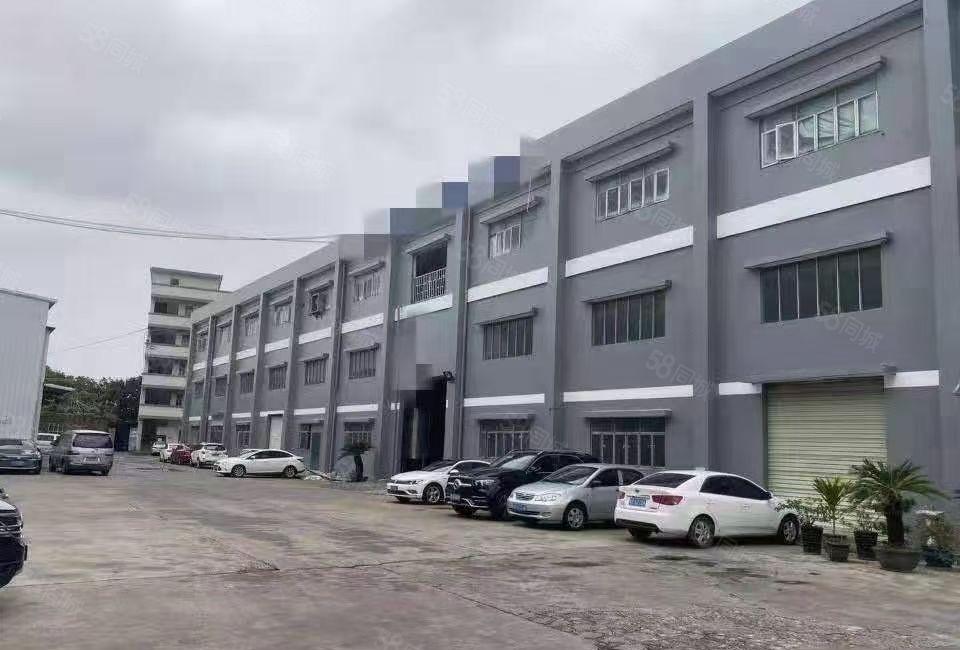 常平1至2层独院厂房招租面积7000平带航车天然气