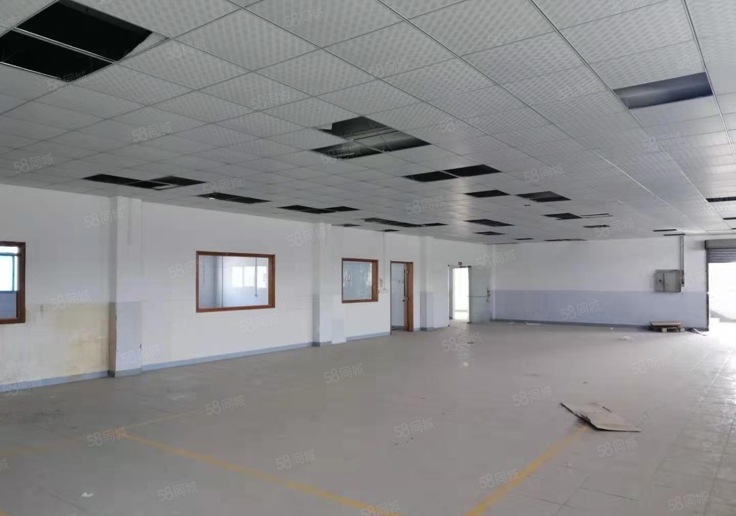 常平镇原房东标准厂房一楼5100平方，适合生产五金，注塑