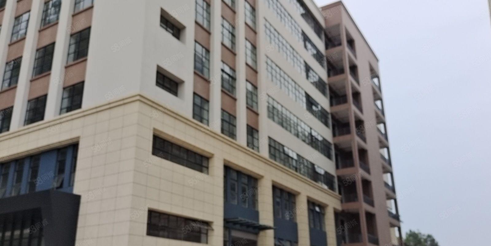 东莞常平大型花园式红本园区，可办环评，主体十二次消防