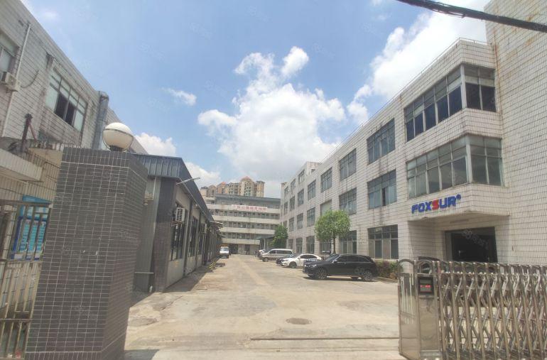 原房东自用房，现成办公室，降价出租