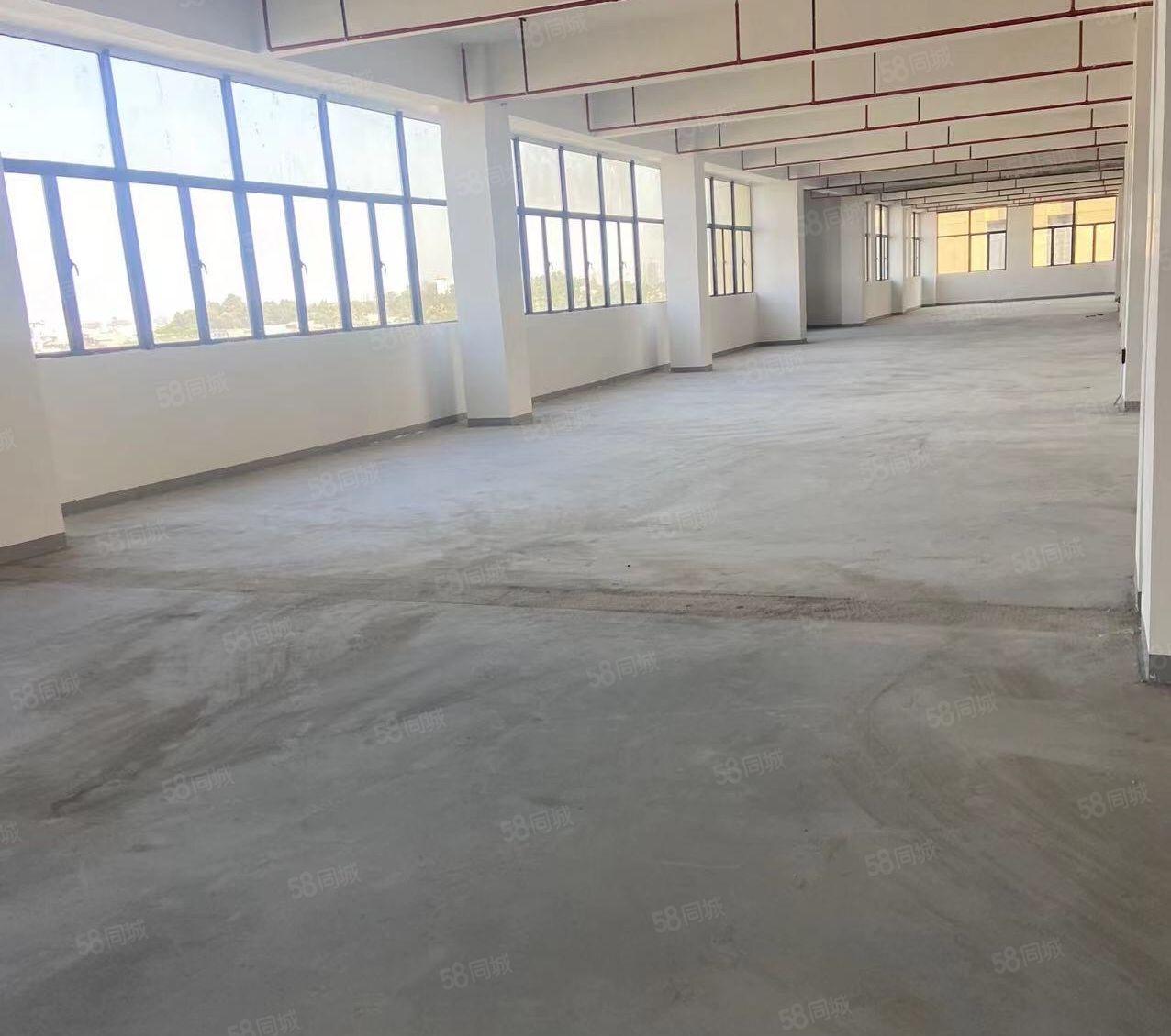 大小分租原房东国有证，玻璃外墙独院厂房12万平方，水电齐全