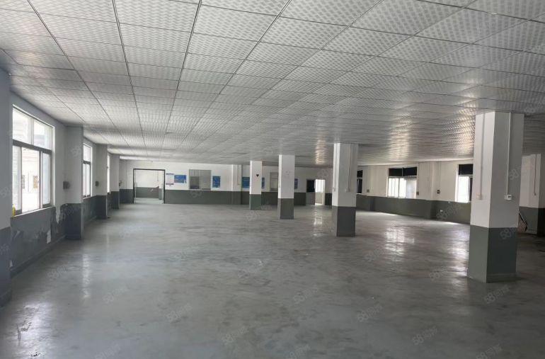 高新产业园2楼豪华装修办公室厂房1150平方便宜出租