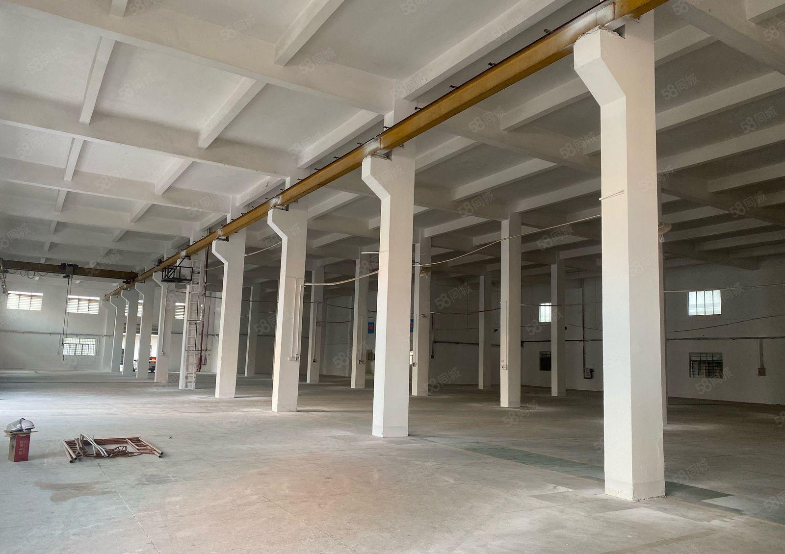 常平苏坑天然气两层楼房8000平方，一楼高8米带牛角