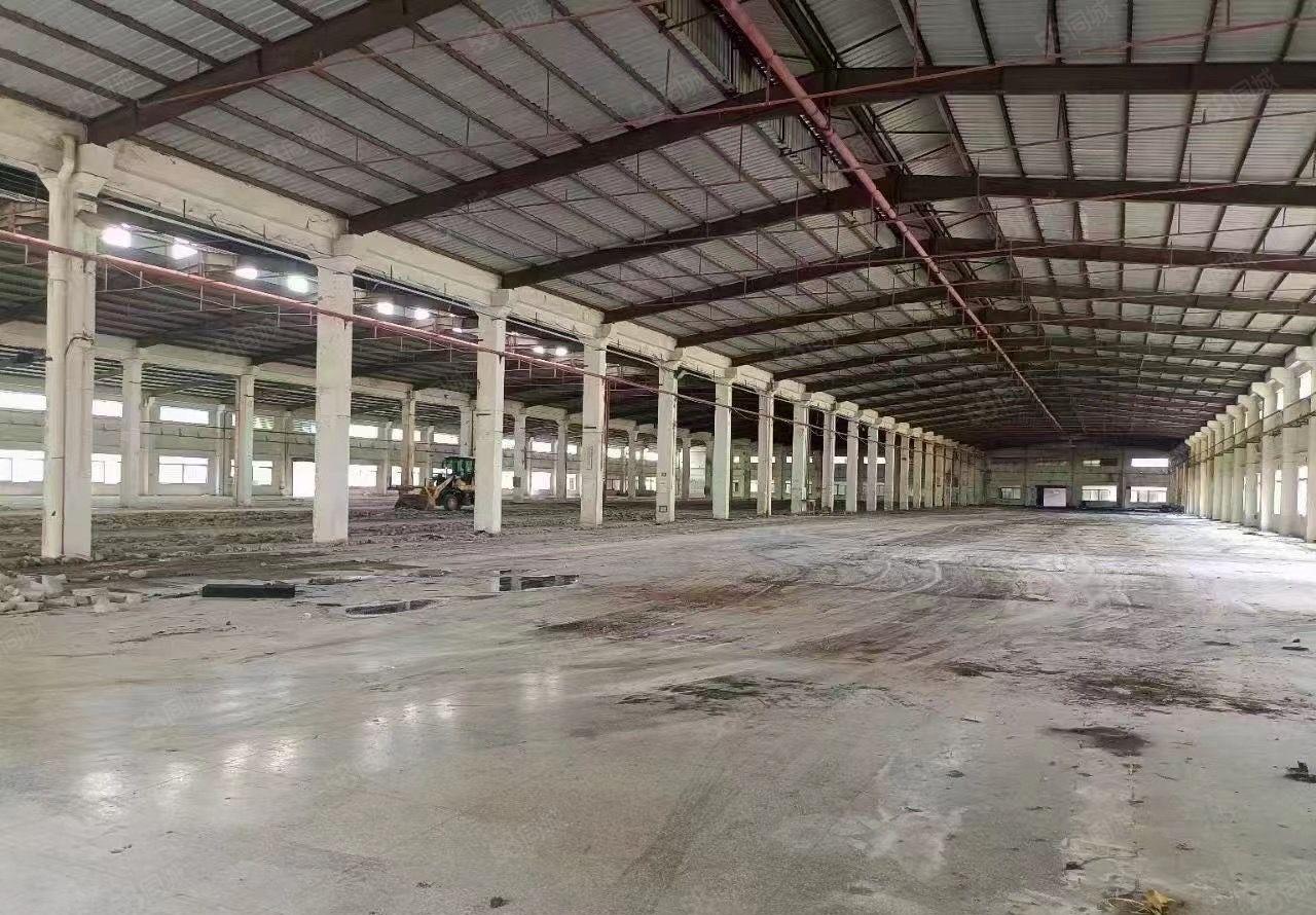 独门独院10米高单一层厂房出租