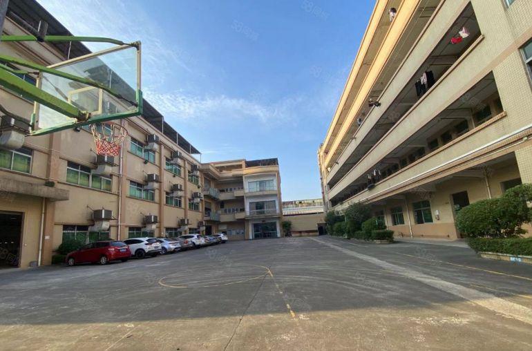 常平原房东独门独院厂房出租空地超大形象漂亮工衣用地