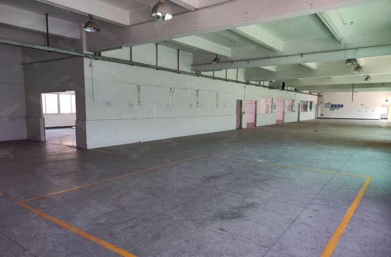 常平新出超靓标准独院5500平方低价出租空地超大