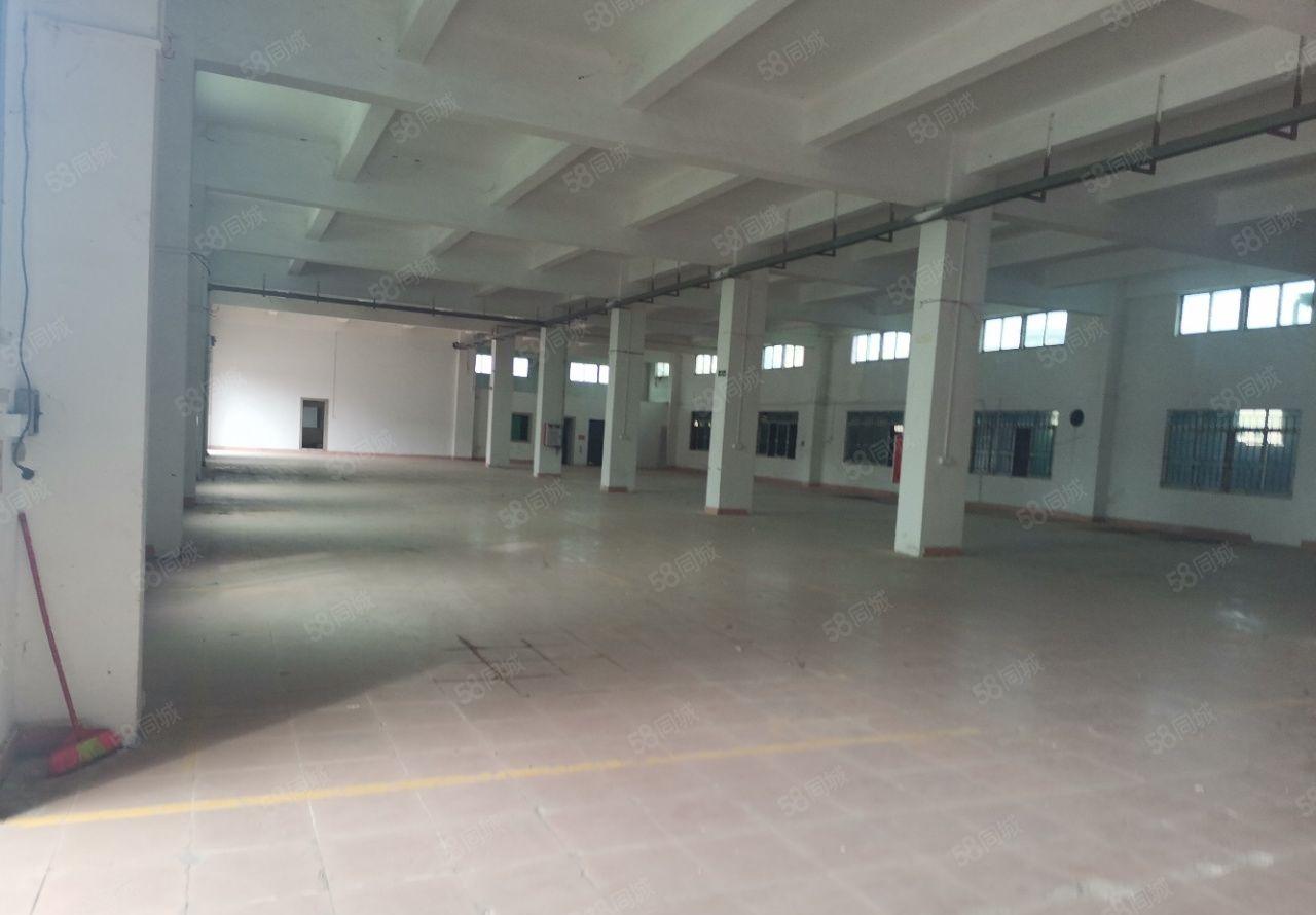 常平镇靠横沥桥头新出独门独院标准厂房出租空地超大交通方便