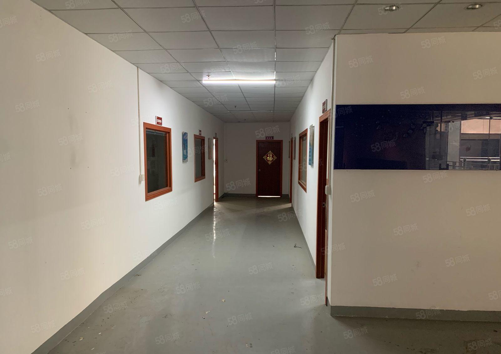 袁山贝浦京商务信息港470平轻工业仓储