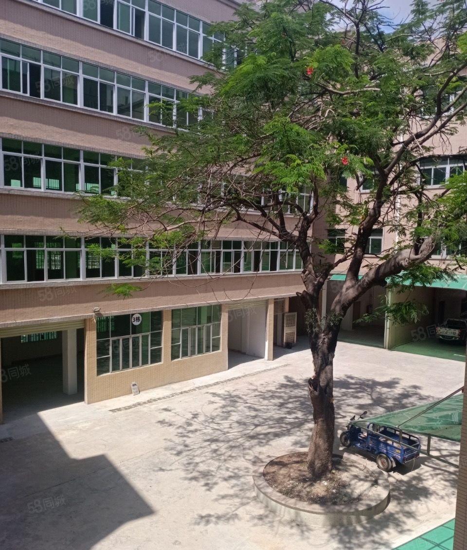 常平京九附近厂房分租单层面积500平和1000平可以分租