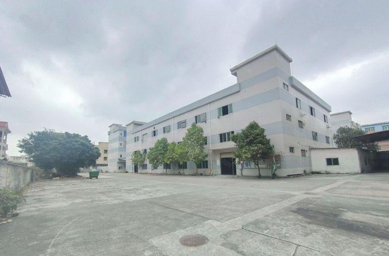 出租|常平10元标准独院无公摊空地超大花园式厂房格局方正