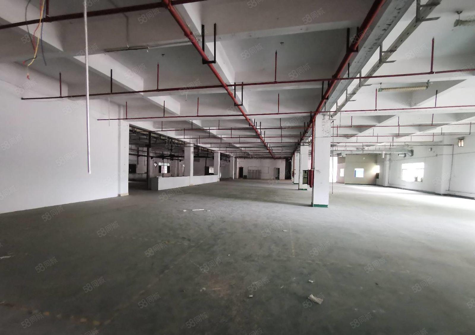 常平原房东独院分租一楼1500平实际面积