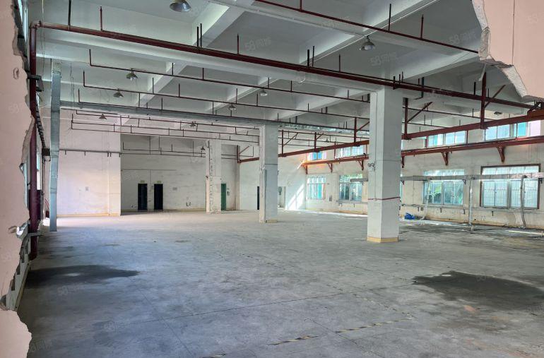 常平新出原房东标准独院厂房。带独栋办公室装修形象好。空地大