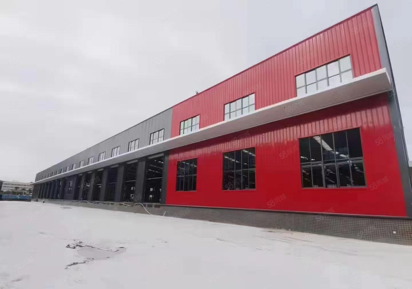 常平镇原房东全新物流厂房出租 带卸货平台