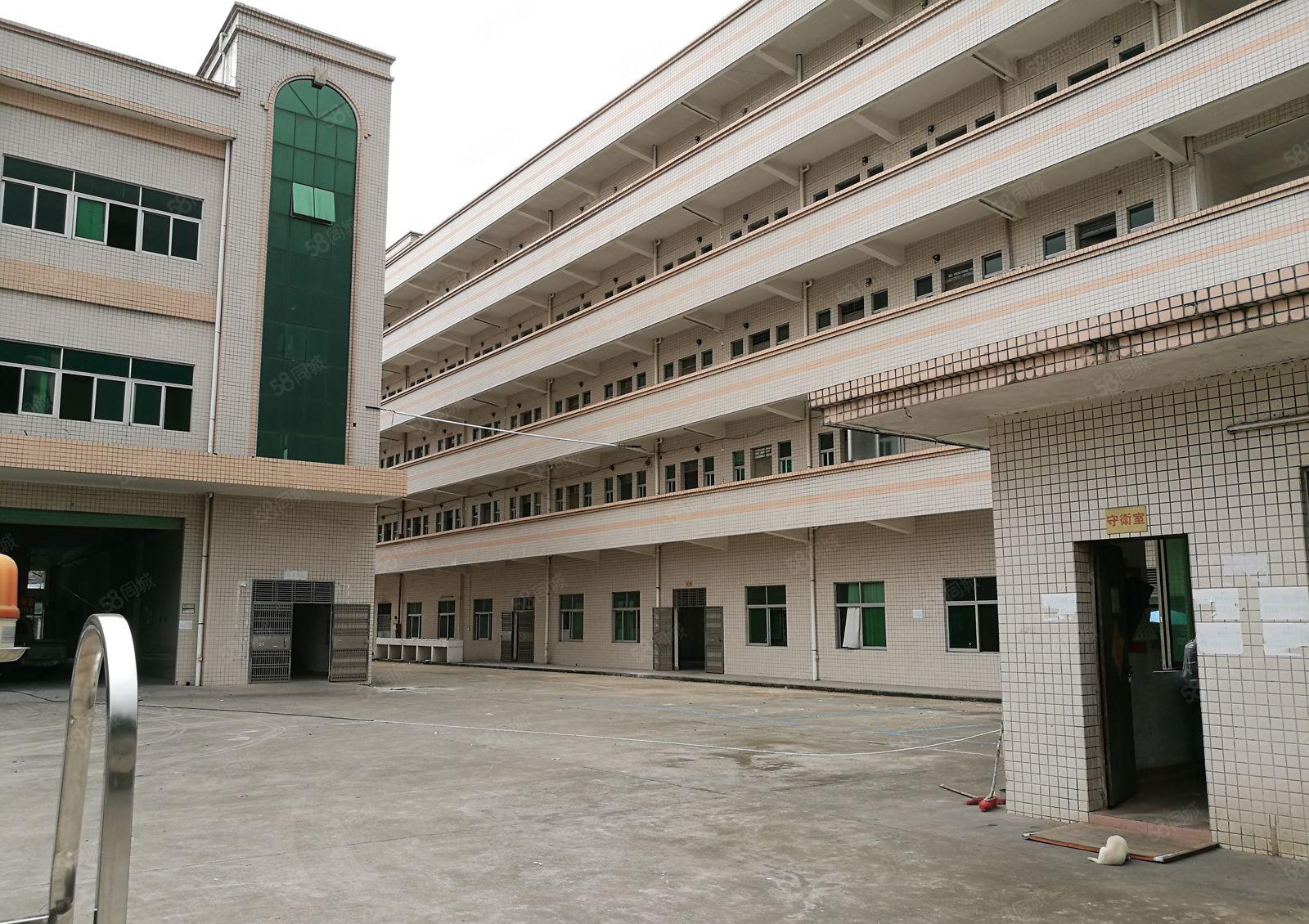 常平金美工业区新出楼上1500平米带装修，水电齐全，形象好